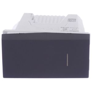 Módulo Interruptor Paralelo 10 Amperes 250 Volts Grafite Orion - S70110394 - SCHNEIDER