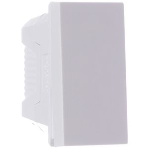 Módulo Interruptor Simples 10 Amperes 250 Volts 1M Branco Orion - S70110104 - SCHNEIDER