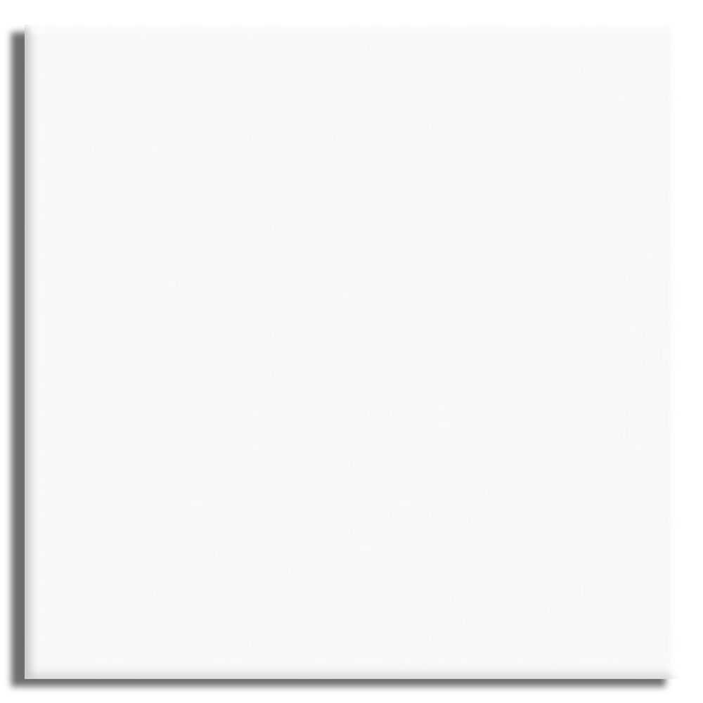 Imagem do produto Revestimento Externo para Fachadas e Piscina 20,3x20,3cm Branco Caixa com 1,69m² / 41 Peças - 18100015 - CERAL