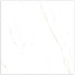 Piso-Calacata-Gold-Majopar-Polido-Retificado-745x745cm-Caixa-com-222m²---4-Pecas---GCPO74000A---V