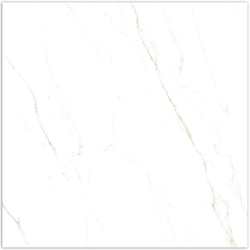 Piso-Calacata-Gold-Majopar-Polido-Retificado-745x745cm-Caixa-com-222m²---4-Pecas---GCPO74000A---V