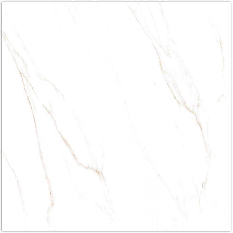 Piso-Calacata-Gold-Majopar-Polido-Retificado-745x745cm-Caixa-com-222m²---4-Pecas---GCPO74000A---V
