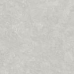 2896329_32782-piso-74x74-speciale-polido-cx2-19-4pcs-ppi-70950r-inout_z4_638512869014615802.jpg
