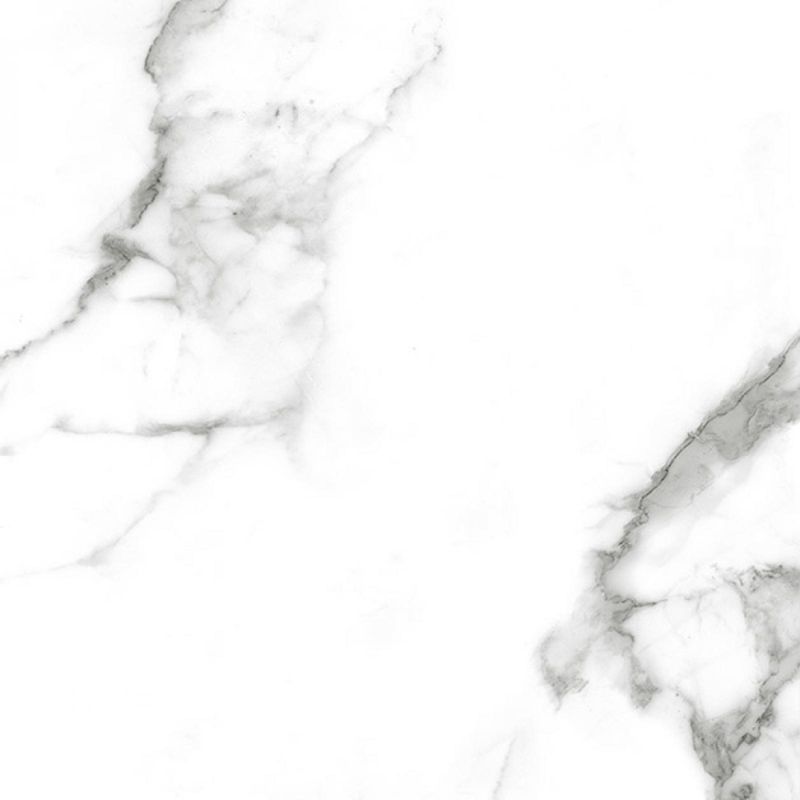 Piso-Ancha-Speciale-Polido-74x74cm-Caixa-com-219m²-_-4-Pecas---PPI-71020R---INCEFRA--4-.jpg