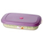 Recipiente Retangular para Freezer Grande Baixo Cores Sortidas 2700ml - 370_2 - SANREMO -1-