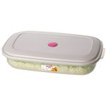 Recipiente Retangular para Freezer Grande Baixo Cores Sortidas 2700ml - 370_2 - SANREMO