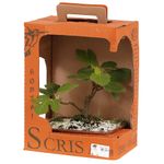 Bonsai-Frutas-Diversas---P0979---TimLog--6-