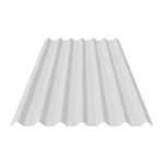 telha-transparente-de-policarbonato-onduclair-200x97cm-03328-onduline_2 -1-