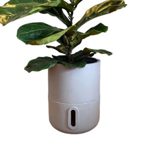 Vaso Brota Decor Urbi M 25x33cm Cimento - BRO-DEC-V03 - BROTA