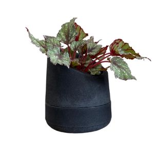 Vaso Brota Decor Copo Leite M 22x25cm Basalt - DEC-CMB-F01 - BROTA