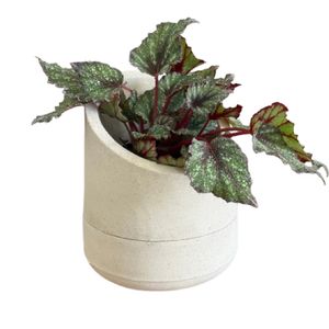 Vaso Brota Decor Copo Leit M 22x25 Areia - DEC-CMA-F01 - BROTA