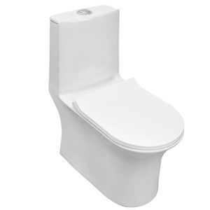 Vaso Sanitário Monobloco Branco Chicago - 4989694 - ECOLINE